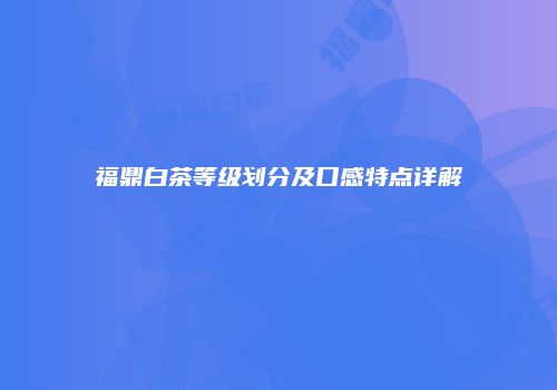福鼎白茶等级划分及口感特点详解