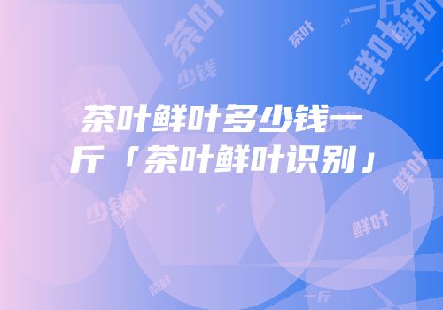 茶叶鲜叶多少钱一斤「茶叶鲜叶识别」