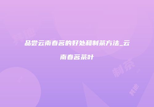品尝云南春茗的好处和制茶方法_云南春茗茶叶