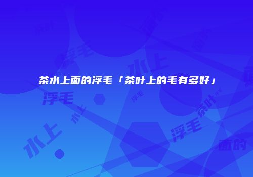 茶水上面的浮毛「茶叶上的毛有多好」