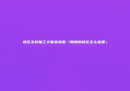 桂花怎样加工才能泡茶喝「刚摘的桂花怎么处理」