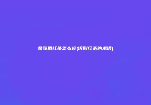 金骏眉红茶怎么样(识别红茶的术语)