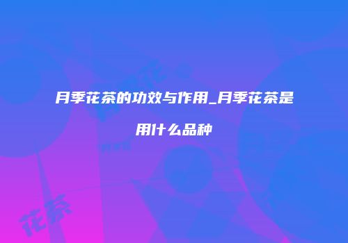 月季花茶的功效与作用_月季花茶是用什么品种