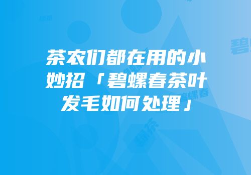 茶农们都在用的小妙招「碧螺春茶叶发毛如何处理」