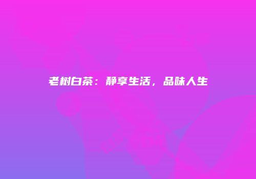 老树白茶：静享生活，品味人生