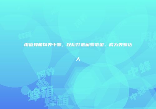 用框蜂箱饲养中蜂，轻松打造蜜蜂帝国，成为养蜂达人