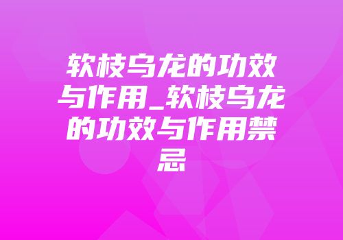 软枝乌龙的功效与作用_软枝乌龙的功效与作用禁忌