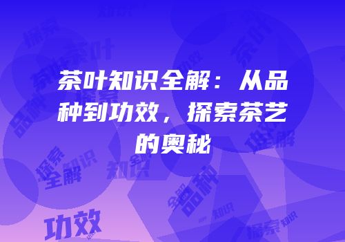 茶叶知识全解：从品种到功效，探索茶艺的奥秘