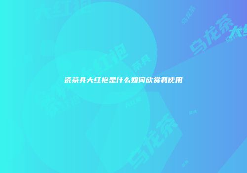 瓷茶具大红袍是什么如何欣赏和使用