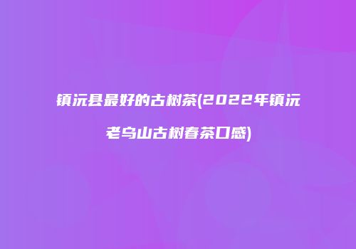 镇沅县最好的古树茶(2022年镇沅老乌山古树春茶口感)