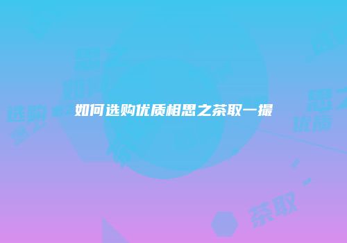 如何选购优质相思之茶取一撮