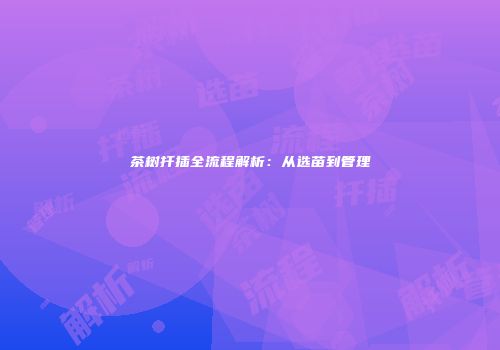 茶树扦插全流程解析：从选苗到管理