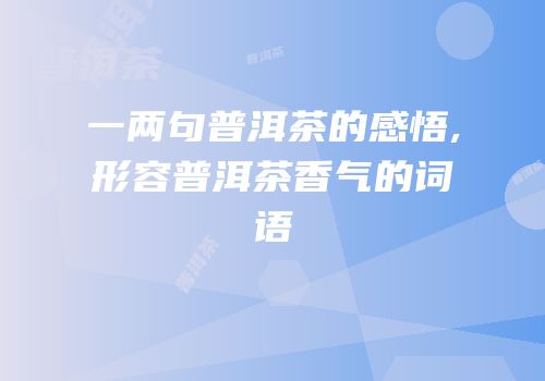 一两句普洱茶的感悟,形容普洱茶香气的词语