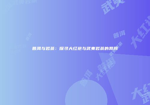 普洱与岩茶：探寻大红袍与武夷岩茶的异同