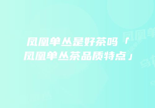 凤凰单丛是好茶吗「凤凰单丛茶品质特点」