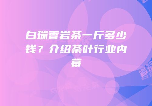 白瑞香岩茶一斤多少钱？介绍茶叶行业内幕