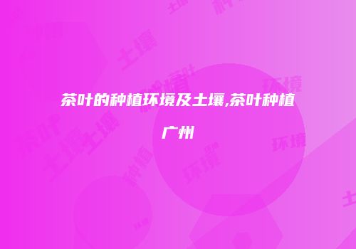 茶叶的种植环境及土壤,茶叶种植广州