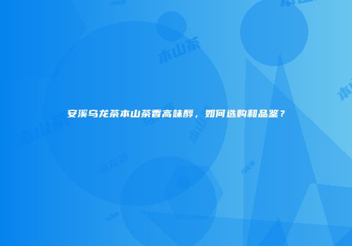 安溪乌龙茶本山茶香高味醇，如何选购和品鉴？