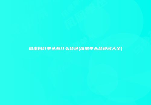 凤凰白叶单丛有什么特色(凤凰单丛品种名大全)