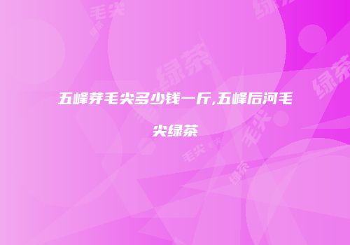 五峰芽毛尖多少钱一斤,五峰后河毛尖绿茶