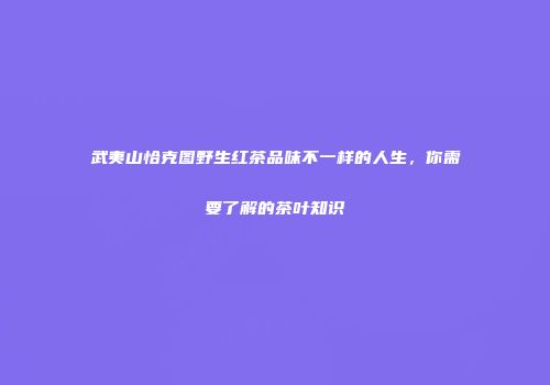 武夷山恰克图野生红茶品味不一样的人生，你需要了解的茶叶知识