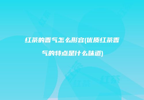 红茶的香气怎么形容(优质红茶香气的特点是什么味道)