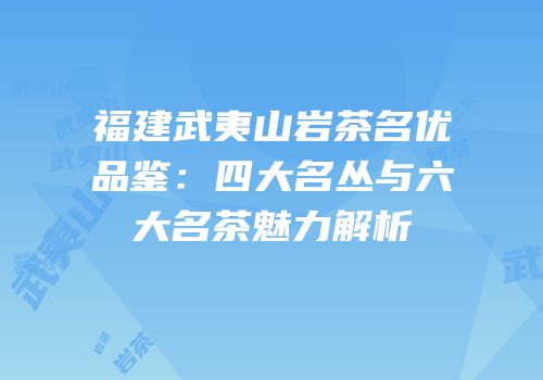 福建武夷山岩茶名优品鉴：四大名丛与六大名茶魅力解析