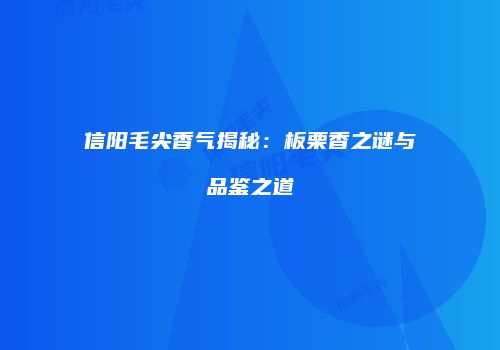 信阳毛尖香气揭秘：板栗香之谜与品鉴之道