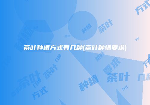 茶叶种植方式有几种(茶叶种植要求)