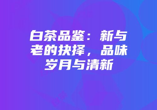 白茶品鉴：新与老的抉择，品味岁月与清新