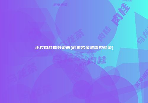 正岩肉桂算好茶吗(武夷岩茶果香肉桂茶)