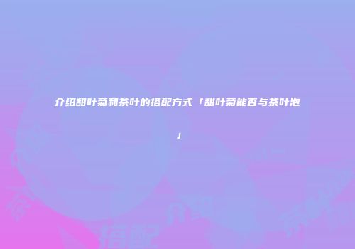 介绍甜叶菊和茶叶的搭配方式「甜叶菊能否与茶叶泡」