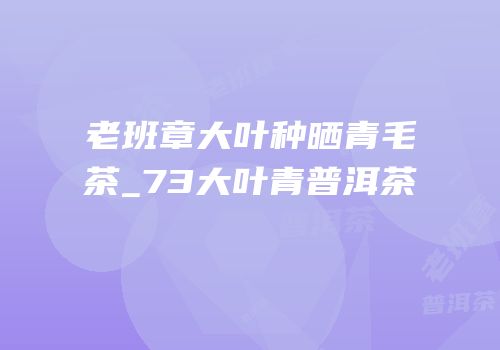 老班章大叶种晒青毛茶_73大叶青普洱茶