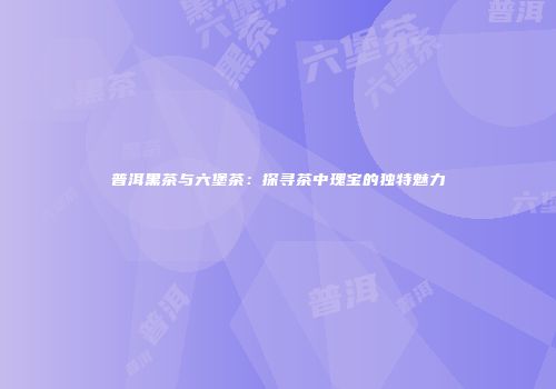 普洱黑茶与六堡茶：探寻茶中瑰宝的独特魅力