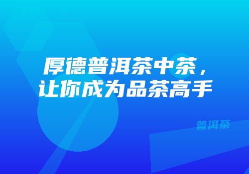 厚德普洱茶中茶，让你成为品茶高手