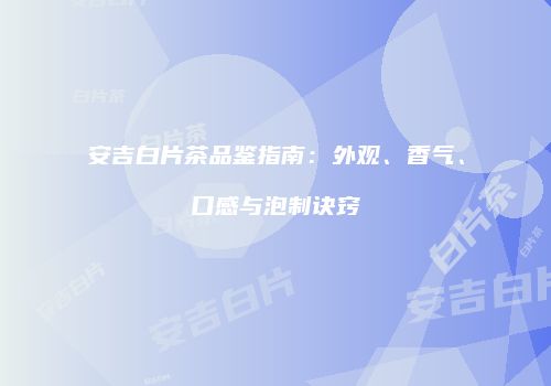 安吉白片茶品鉴指南：外观、香气、口感与泡制诀窍