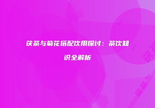 茯茶与菊花搭配饮用探讨：茶饮知识全解析