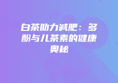 白茶助力减肥：多酚与儿茶素的健康奥秘