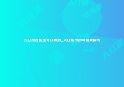 大红袍古树还有几棵树_大红袍母树可以采摘吗