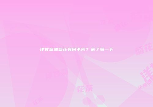 洋甘菊和菊花有何不同？来了解一下