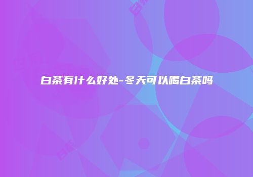 白茶有什么好处-冬天可以喝白茶吗