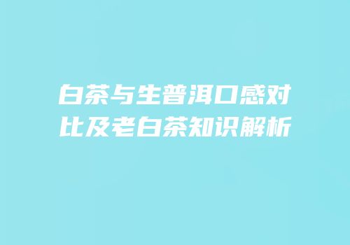 白茶与生普洱口感对比及老白茶知识解析