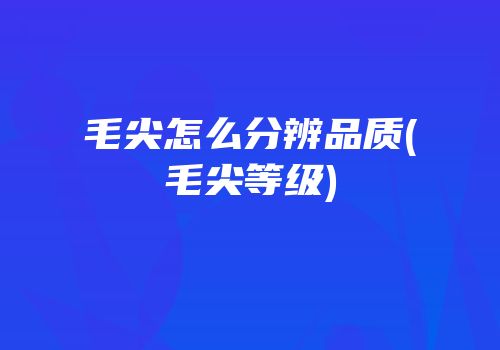 毛尖怎么分辨品质(毛尖等级)