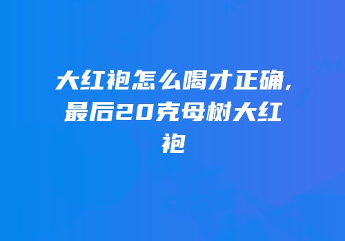 大红袍怎么喝才正确,最后20克母树大红袍