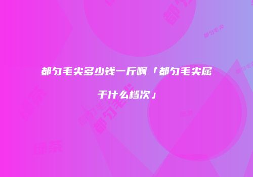 都匀毛尖多少钱一斤啊「都匀毛尖属于什么档次」