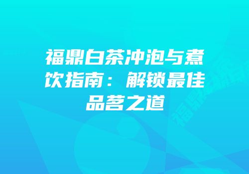 福鼎白茶冲泡与煮饮指南：解锁最佳品茗之道
