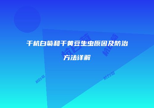 干杭白菊和干黄豆生虫原因及防治方法详解