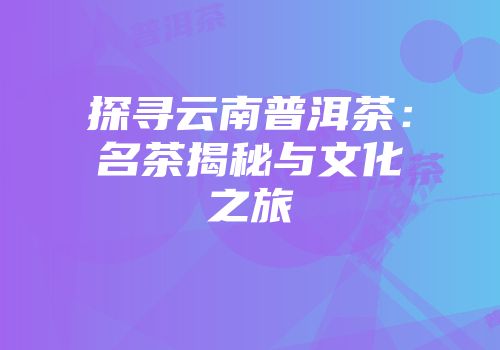探寻云南普洱茶：名茶揭秘与文化之旅