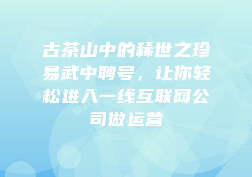 古茶山中的稀世之珍易武中聘号，让你轻松进入一线互联网公司做运营