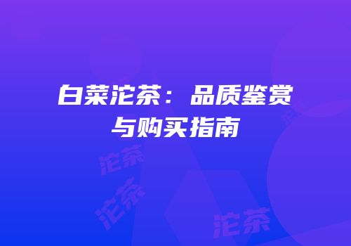白菜沱茶：品质鉴赏与购买指南